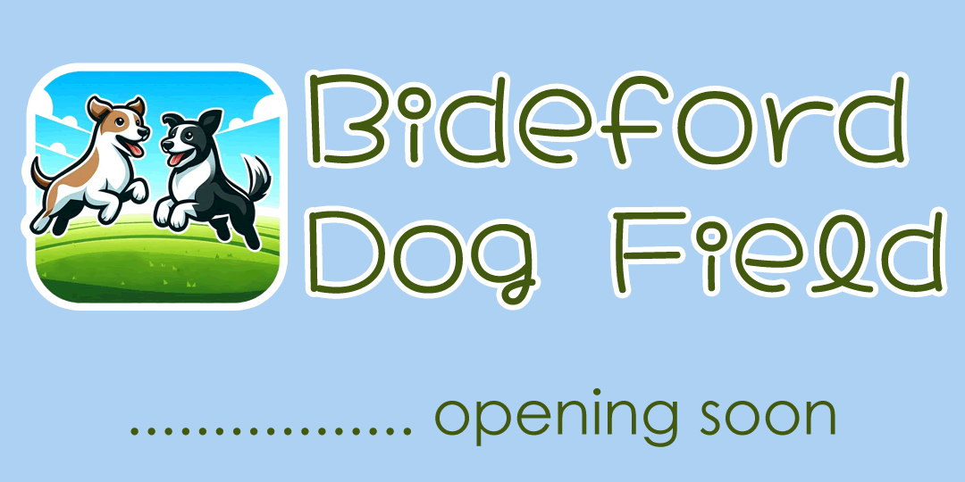 Bideford Dog Field